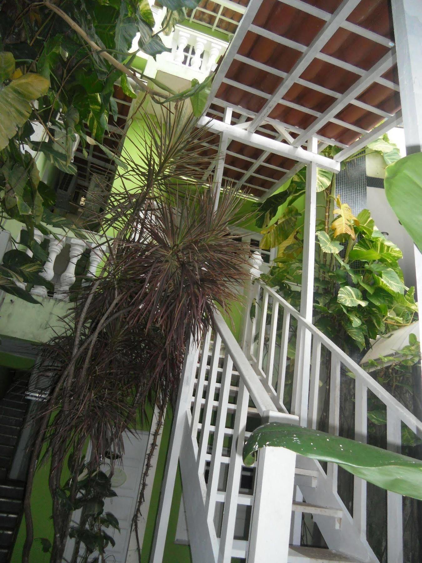 Hotel Pousada Papaya Verde Salvador Exterior photo